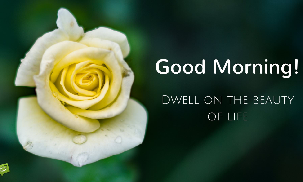 Blessed Morning Everyone Quotes to Inspire Every Day